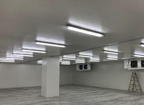 小米辣氣調冷庫