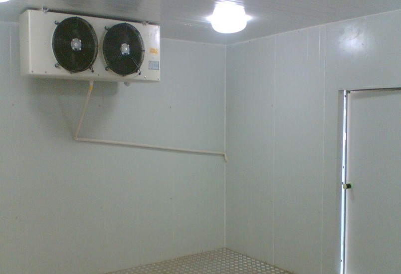 桃子保鮮冷庫存儲技巧