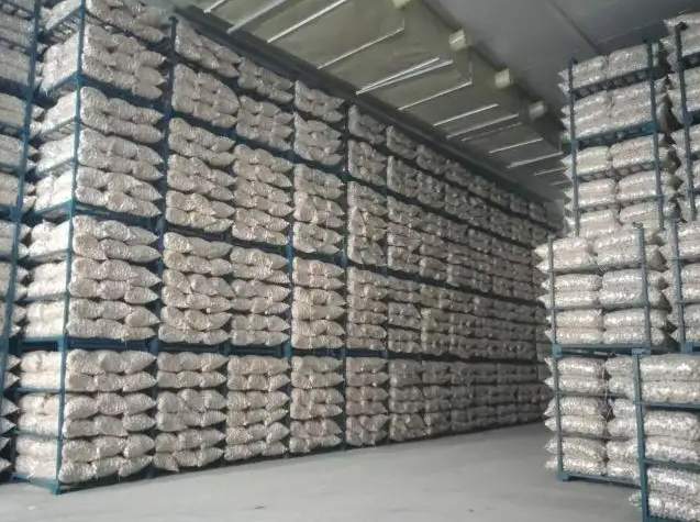 建一個500噸大蒜冷庫一平米需要多少錢