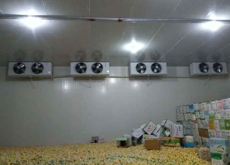 600平米果蔬冷庫方案設(shè)計理念