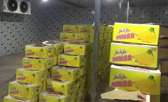 建造冷庫(kù)時(shí)地面該怎么處理