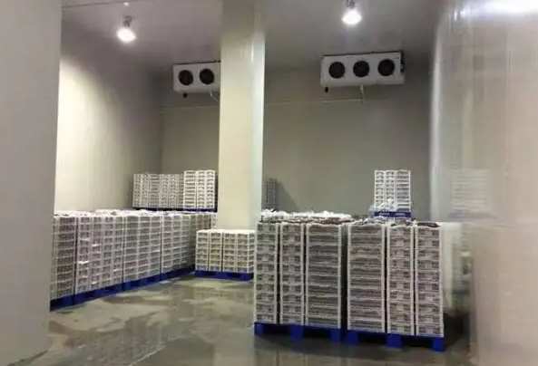 安裝500立方豬肉冷凍庫(kù)需要多少錢