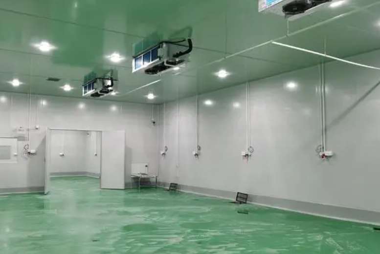 建造500噸冷庫要多少錢費(fèi)用