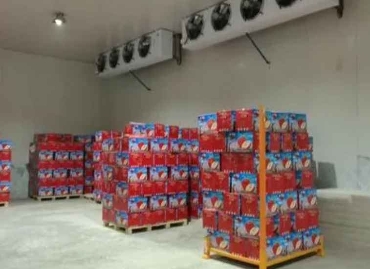 建造大型冷庫(kù)的設(shè)計(jì)與安裝方案