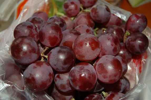 建造提子氣調(diào)保鮮庫(kù)一平米多少錢(qián)