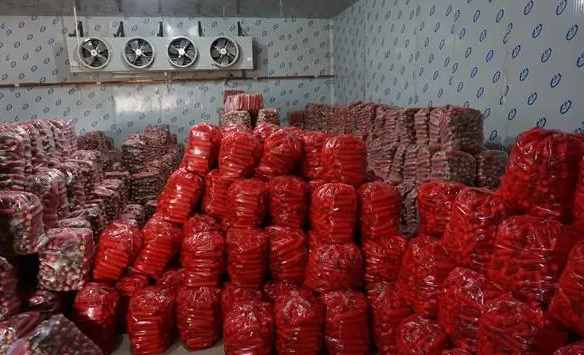 蘿卜保鮮冷庫(kù)安裝費(fèi)用多少錢(qián)