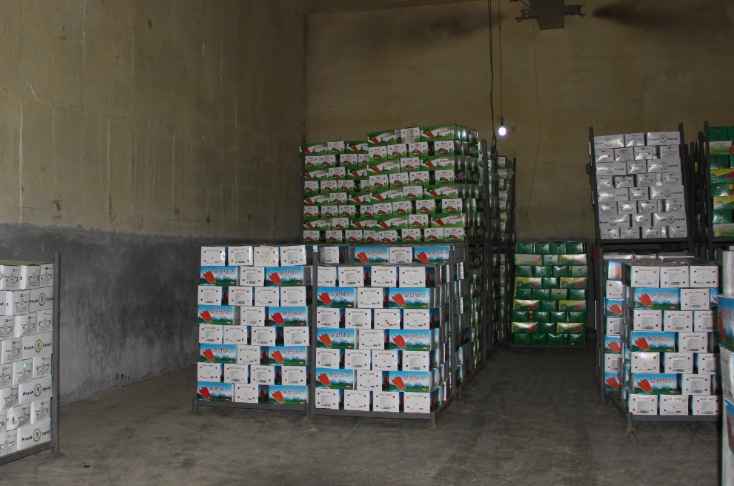 蘿卜保鮮冷庫(kù)安裝費(fèi)用多少錢(qián)