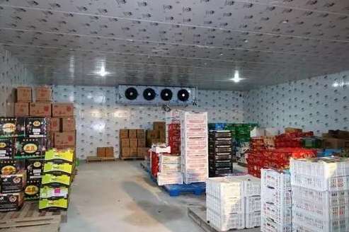 氣調(diào)保鮮庫造價多少一平