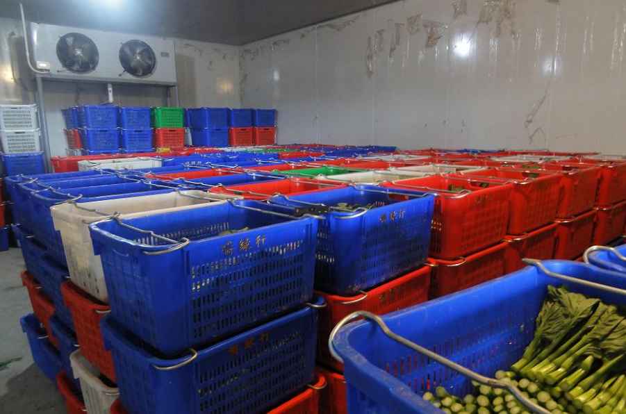 蔬菜能在氣調保鮮庫儲藏多少久