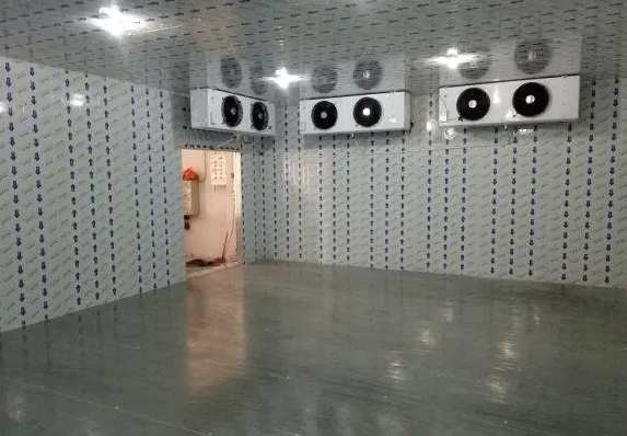 酒店廚房冷庫建設(shè)需要多少錢