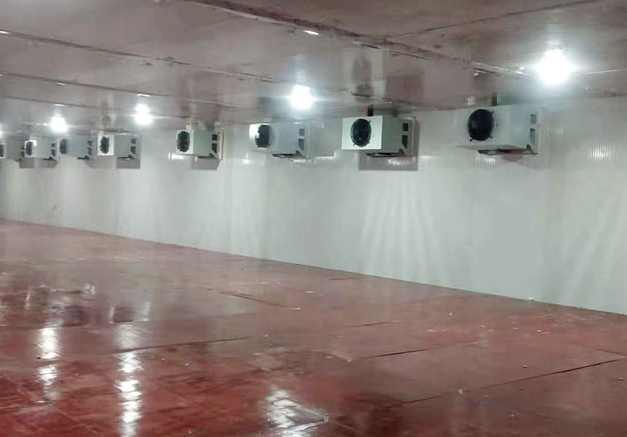 冷庫(kù)辣椒運(yùn)輸打冷多少度