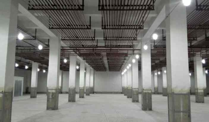 黃瓜冷庫保鮮技術要求有哪些