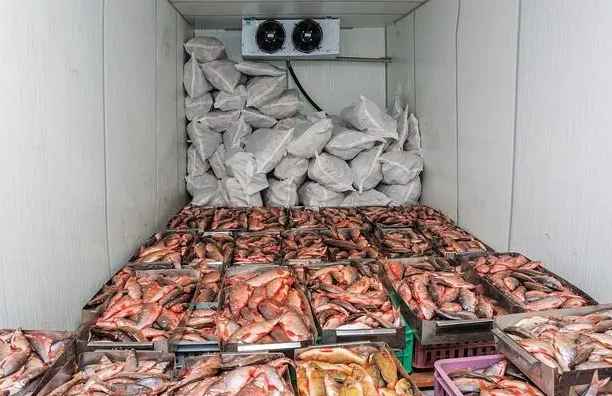 裝一個100平米生鮮冷庫大概要多少錢呢？