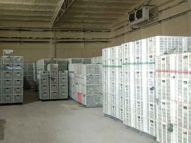 建造100平方的冷庫需要多少成本費(fèi)用