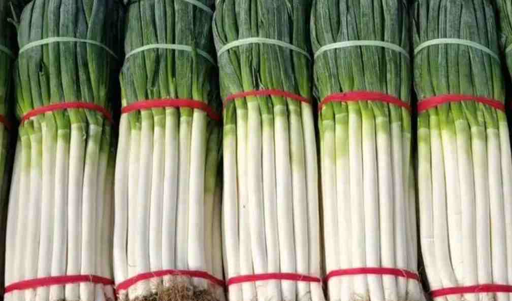 大蔥保鮮冷庫溫度多少度比較好