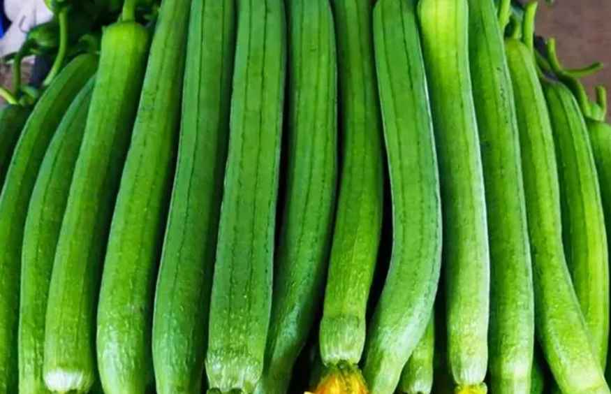 絲瓜放在中冷庫如何防止冷害發生