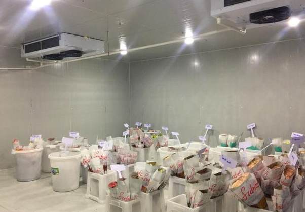 中溫冷庫工程設計預算多少錢