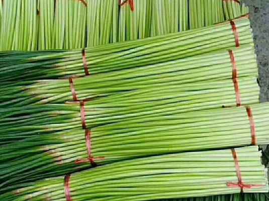 蒜苔冷庫(kù)保鮮有什么技巧