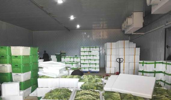 蔬菜保鮮冷庫建設方案及流程