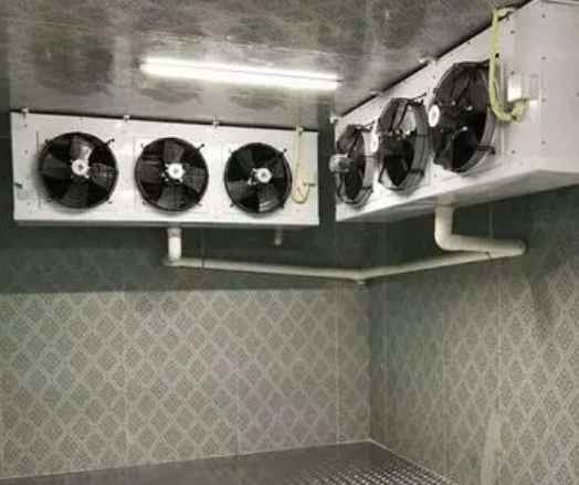 水果店冷庫建設多少錢一平方