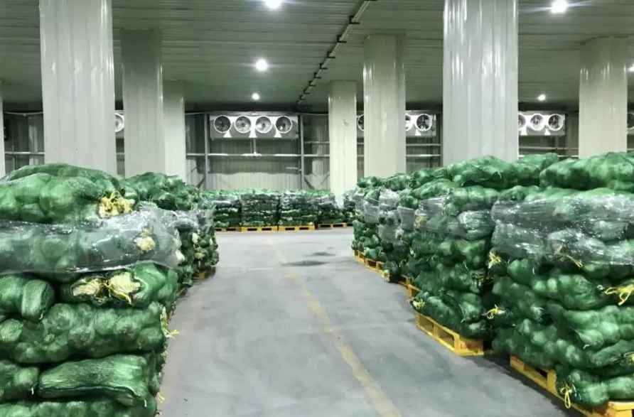 正常的冷庫蔬菜保鮮多少度?該如何存儲？