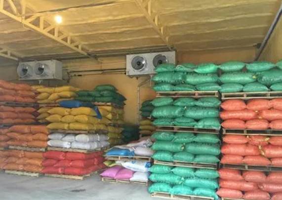 板栗冷庫(kù)溫度設(shè)定多少度合適