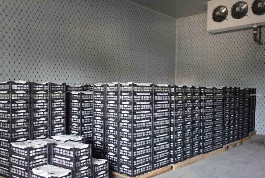 冷庫門密封效果維護(hù)和修理辦法？